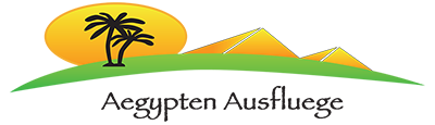 Metis Logo